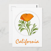 Californische pap in een Cirkel, 'Californische' t Briefkaart (Voorkant / Achterkant)