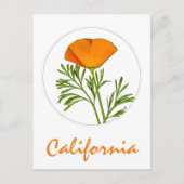 Californische pap in een Cirkel, 'Californische' t Briefkaart (Voorkant)