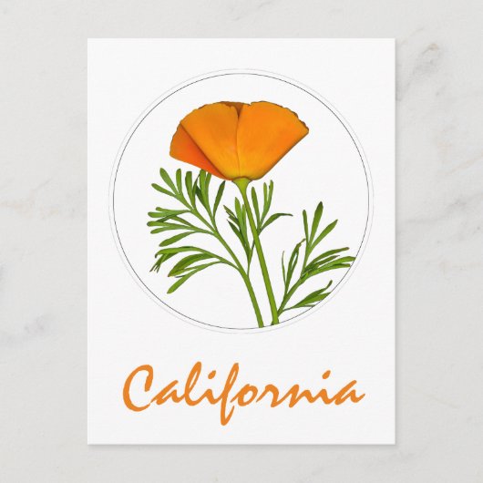 Californische pap in een Cirkel, 'Californische' t Briefkaart (Voorkant)