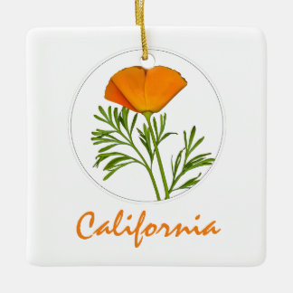 Californische pap in een Cirkel, 'Californische' t Keramisch Ornament