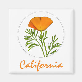 Californische pap in een Cirkel, 'Californische' t Magneet