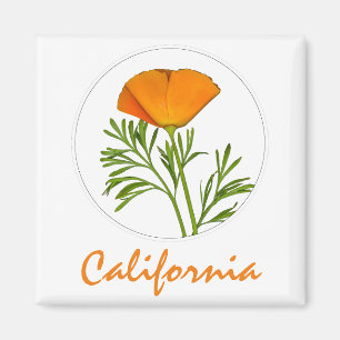 Californische pap in een Cirkel, 'Californische' t Magneet