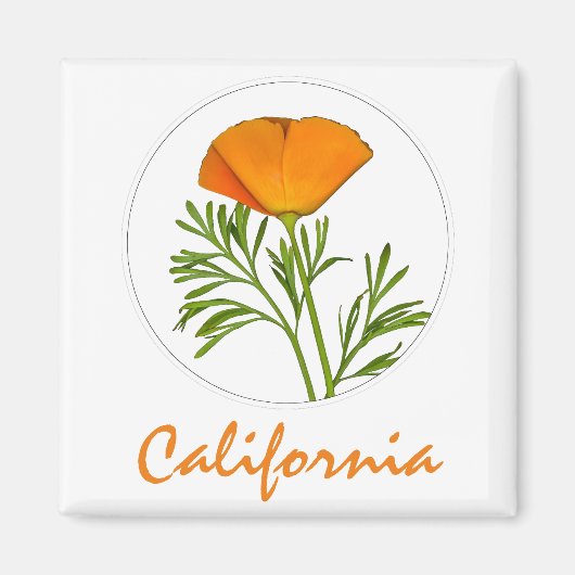 Californische pap in een Cirkel, 'Californische' t Magneet (Voorkant)