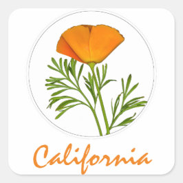 Californische pap in een Cirkel, 'Californische' t Vierkante Sticker