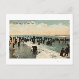 Californische pap zwemmen aan de Pacifische kust Briefkaart