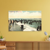 Californische pap zwemmen aan de Pacifische kust Canvas Afdruk (Insitu (Woonkamer))