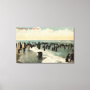 Californische pap zwemmen aan de Pacifische kust Canvas Afdruk