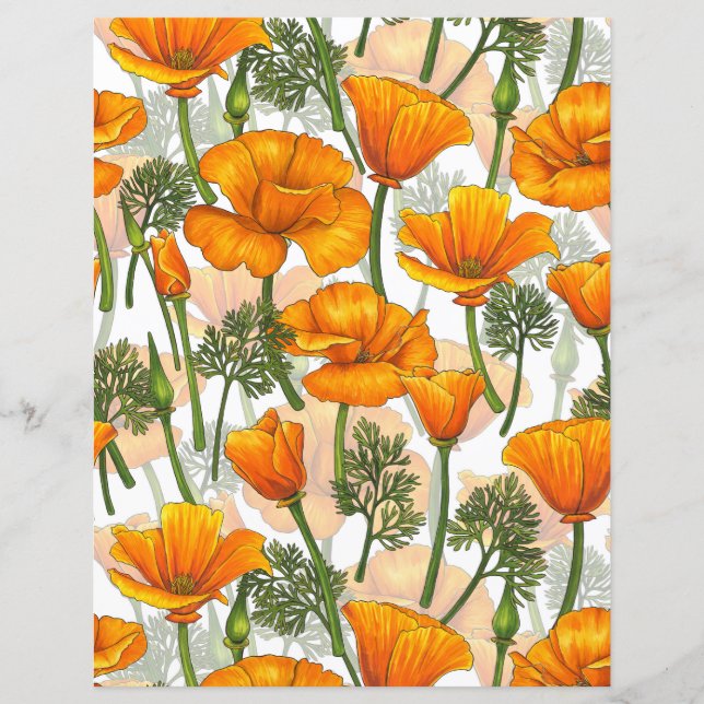 Californische papaver (Voorkant)