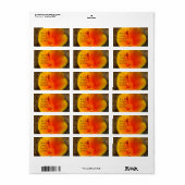 Californische papaver-Adresetiketten Etiket (Full Sheet)
