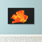 Californische papaver canvas print (Insitu (Houten vloer))