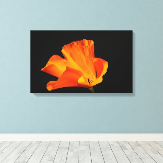 Californische papaver canvas print (Insitu (Houten vloer))
