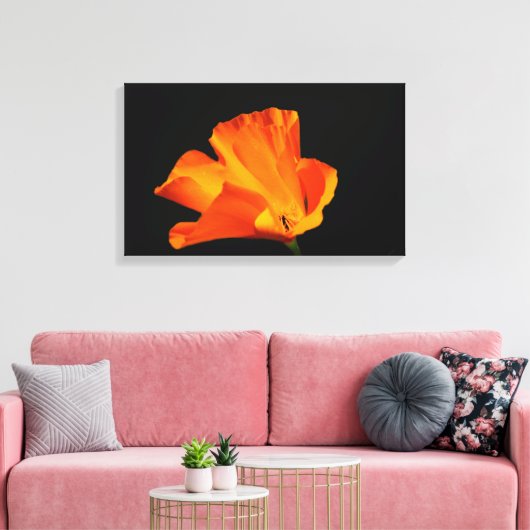 Californische papaver canvas print (Insitu (Woonkamer))