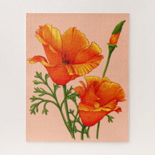 Californische papaver legpuzzel
