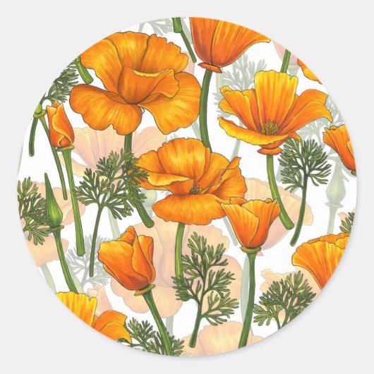 Californische papaver ronde sticker (Voorkant)