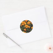 Californische papaver ronde sticker (Envelop)