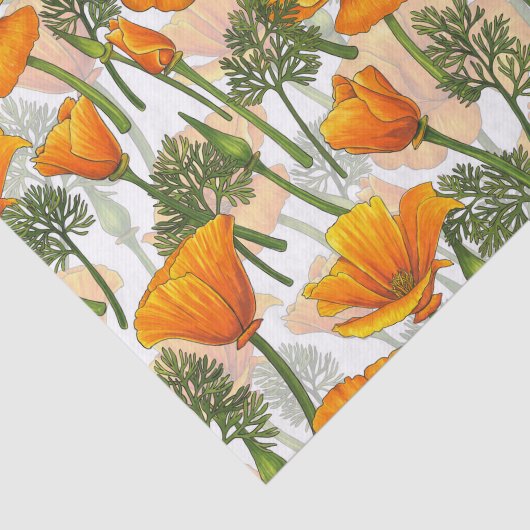 Californische papaver tissuepapier (Detail)