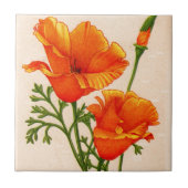 Californische papaverpapaver in het sinaasappel tegeltje (Voorkant)