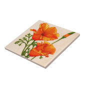 Californische papaverpapaver in het sinaasappel tegeltje (Zijkant)