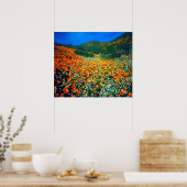 Californische papavers en popcorn-bloemen poster (Keuken)