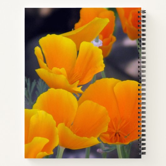 Californische papavers met Citaatschets Notitieboek (Achterkant)