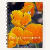  Californische papavers met Citaatschets Notitieboek (Voorkant)