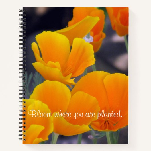  Californische papavers met Citaatschets Notitieboek (Voorkant)