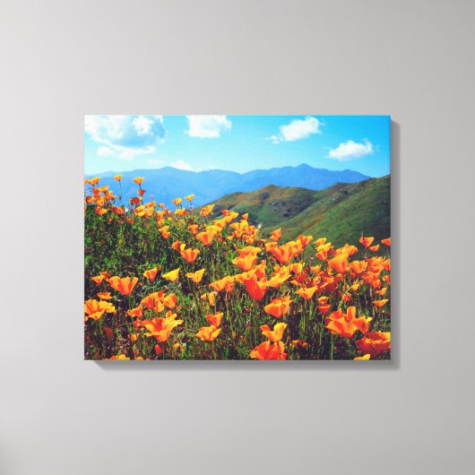 Californische papavers voor een heuvel canvas afdruk (Voorkant)