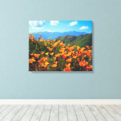 Californische papavers voor een heuvel canvas afdruk (Insitu (Houten vloer))