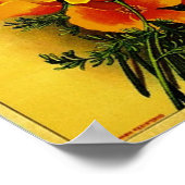 Californische papavery Sinaasappels Poster (Hoek)