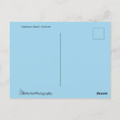 Californische pelikaan op de strand briefkaart (Achterkant)