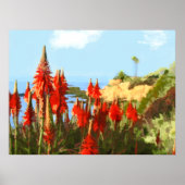 Californische Planten voor kust- en rode warme pok Poster (Voorkant)