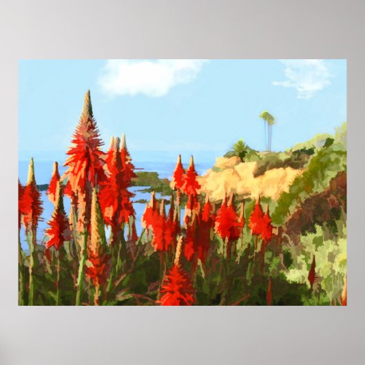 Californische Planten voor kust- en rode warme pok Poster (Voorkant)
