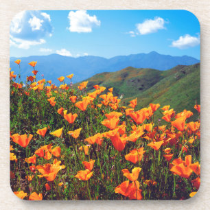 Californische poppies met een heuvel bier onderzetter