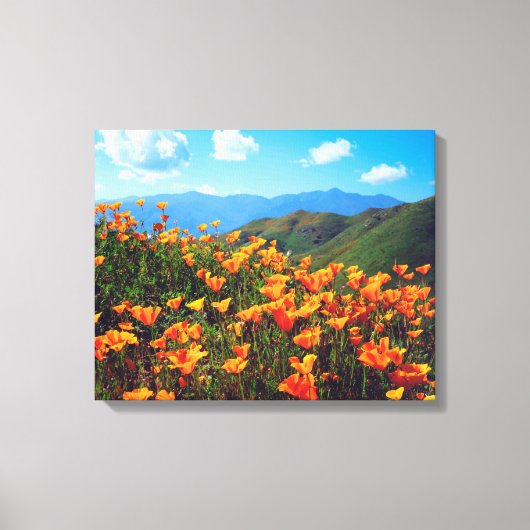 Californische poppies met een heuvel canvas afdruk (Voorkant)
