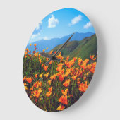 Californische poppies met een heuvel grote klok (Hoek)