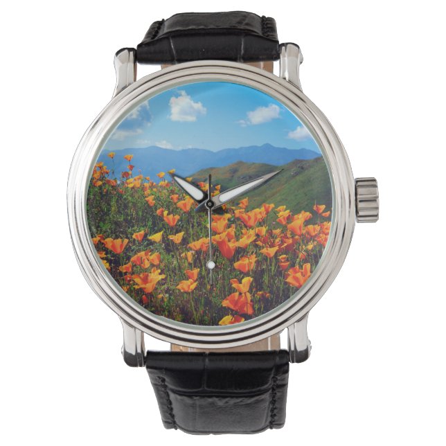 Californische poppies met een heuvel horloge (Voorkant)
