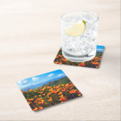 Californische poppies met een heuvel kartonnen onderzetters (Insitu)