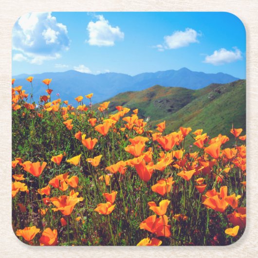Californische poppies met een heuvel kartonnen onderzetters (Voorkant)