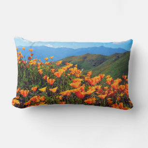Californische poppies met een heuvel kussen
