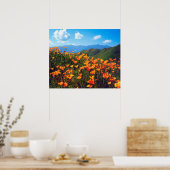 Californische poppies met een heuvel poster (Keuken)