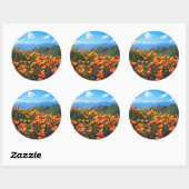 Californische poppies met een heuvel ronde sticker (Vel)