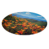 Californische poppies met een heuvel snijplank (Hoek)