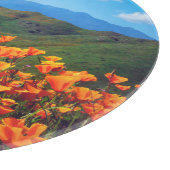 Californische poppies met een heuvel snijplank (Hoek)