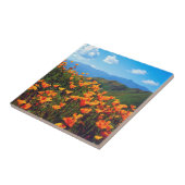 Californische poppies met een heuvel tegeltje (Zijkant)