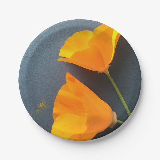 Californische poppies op blauw papieren bordje (Voorkant)