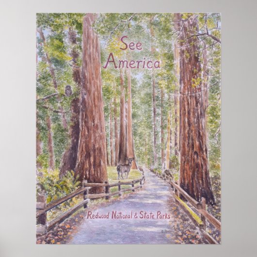 Californische Reuzensequoia Poster (Voorkant)