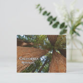 Californische sequoia's - Big Trees Briefkaart (Staand voorkant)