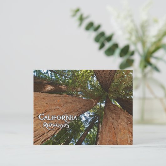 Californische sequoia's - Big Trees Briefkaart (Staand voorkant)