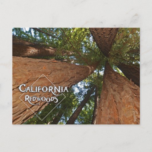 Californische sequoia's - Big Trees Briefkaart (Voorkant)
