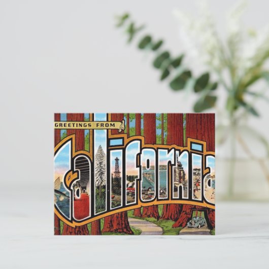  Californische sequoia's Briefkaart (Staand voorkant)